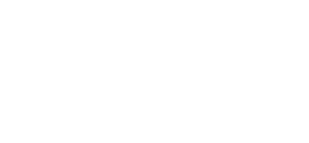 Nigerian Fashion Council